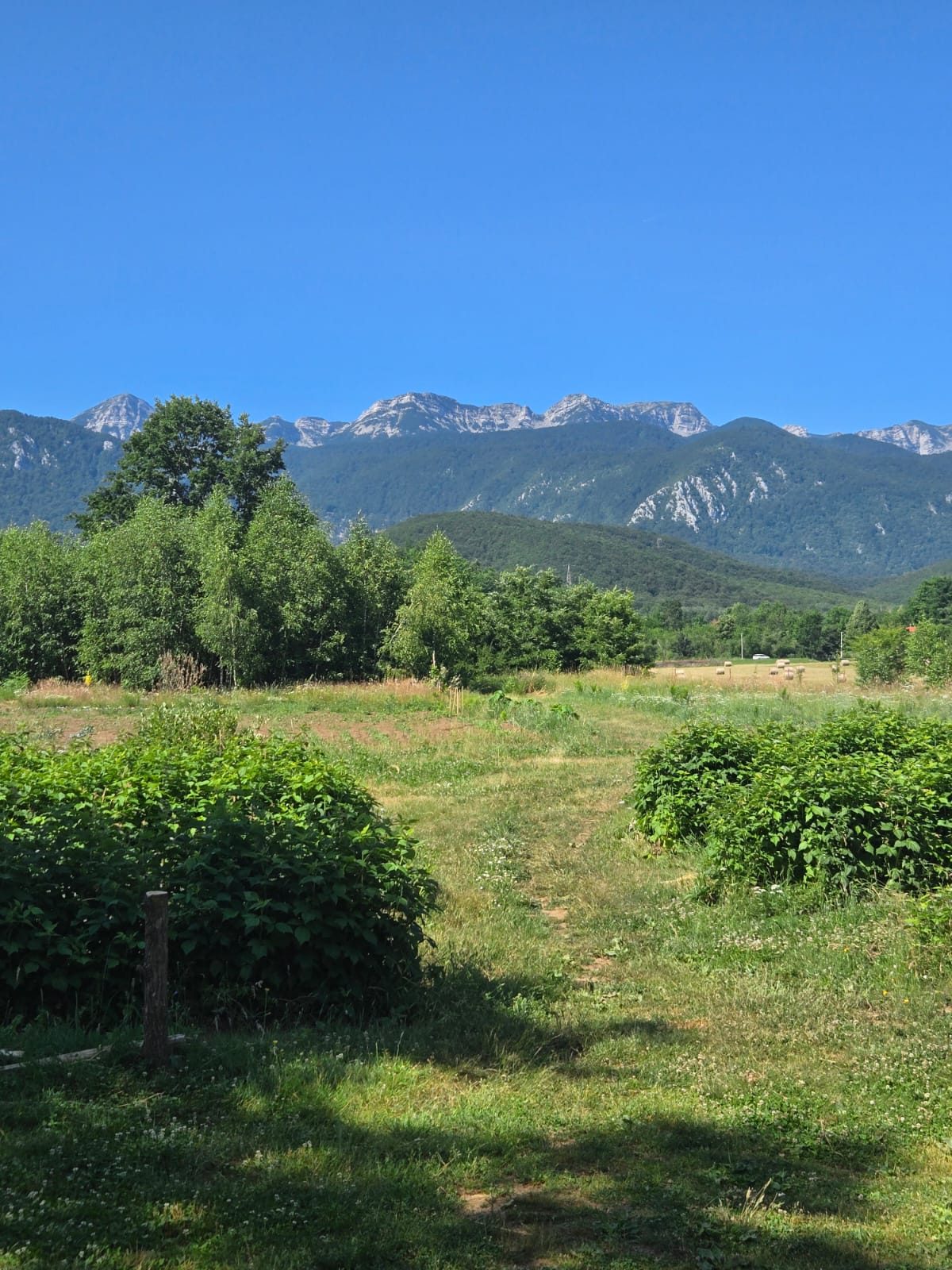 Malinjak i pogled na Velebit